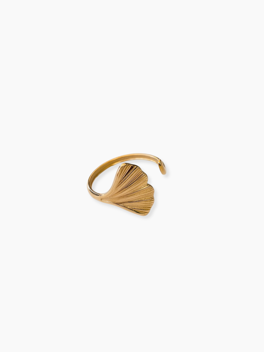 Ariel Ring