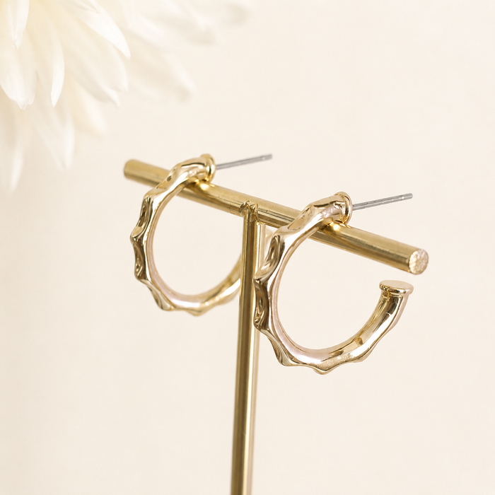 Aylin Hoops